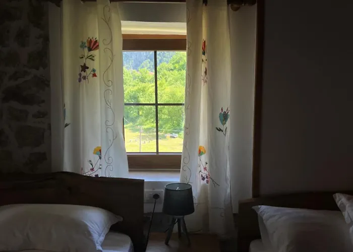 Molla 게스트하우스 세스