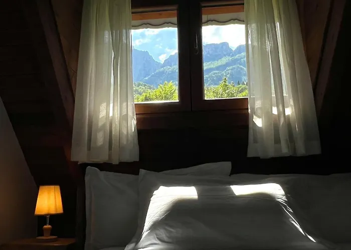 Molla 게스트하우스 3*