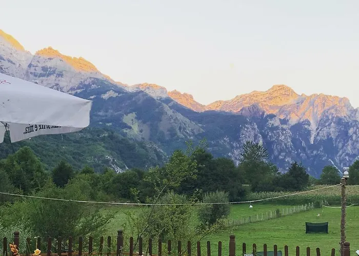 Molla 게스트하우스