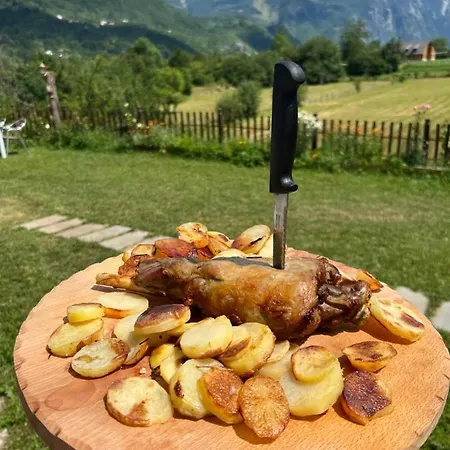 Molla بيت ضيافة ثيث