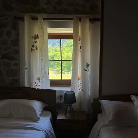 Molla بيت ضيافة ثيث