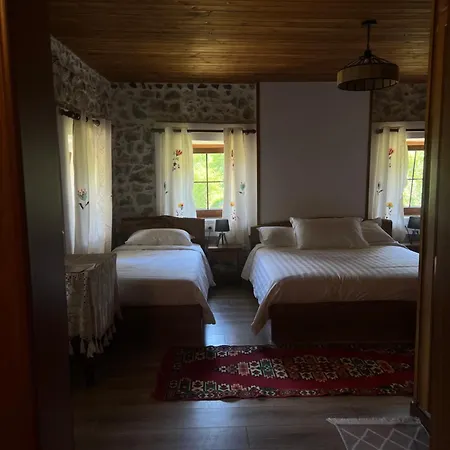 Гостевой дом Molla Тети