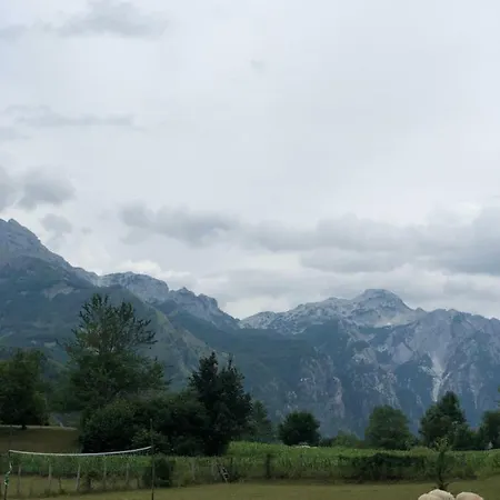 Pensión Molla 3*