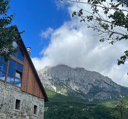 Guest house Molla 3*